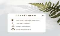 Contact us
